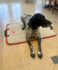Load image into Gallery viewer, The Chelsea Travel Mat - Axel Dog Beds