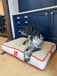 Load image into Gallery viewer, The Chelsea Beds - Axel Dog Beds