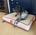 Load image into Gallery viewer, The Chelsea Beds - Axel Dog Beds