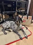 Load image into Gallery viewer, The Chelsea Travel Bag - Axel Dog Beds