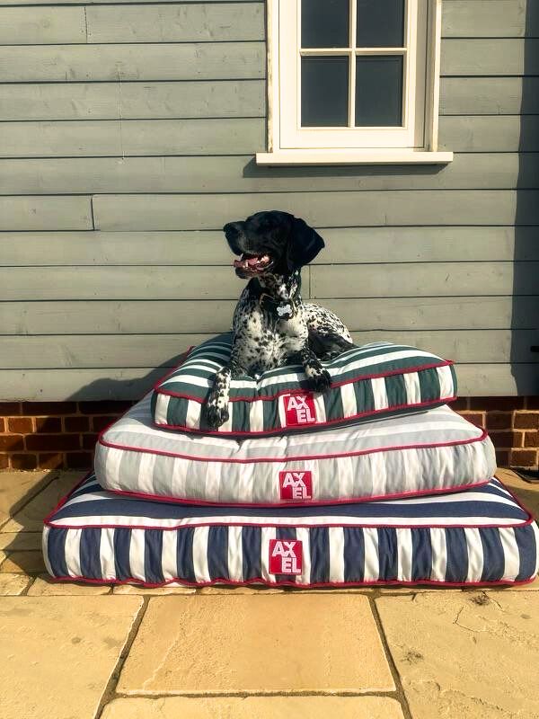 @axeldog_beds