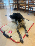 Load image into Gallery viewer, The Chelsea Travel Mat - Axel Dog Beds

