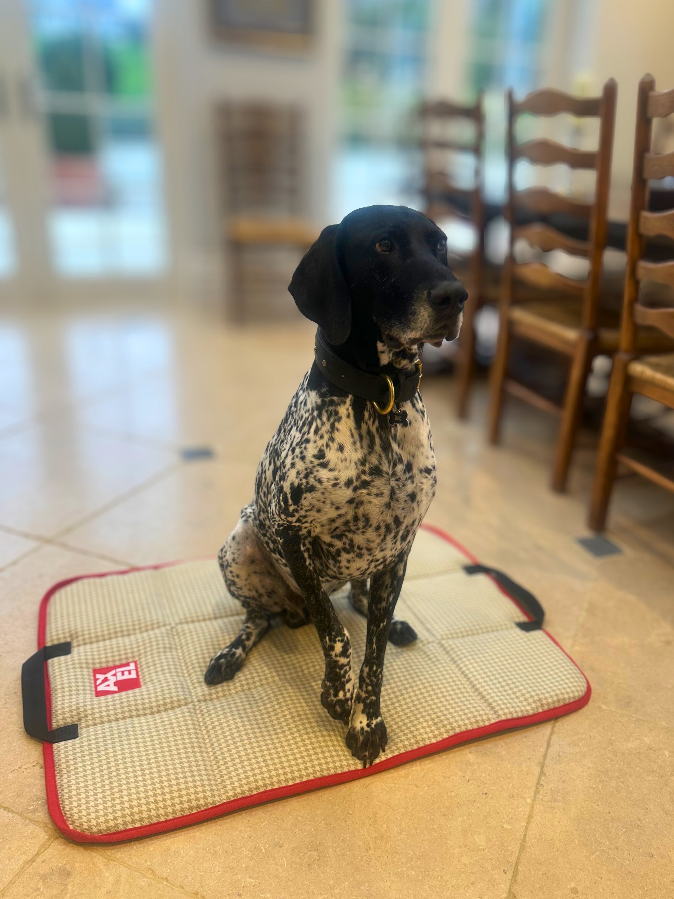 The Chelsea Travel Mat - Axel Dog Beds