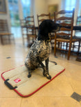 Load image into Gallery viewer, The Chelsea Travel Mat - Axel Dog Beds

