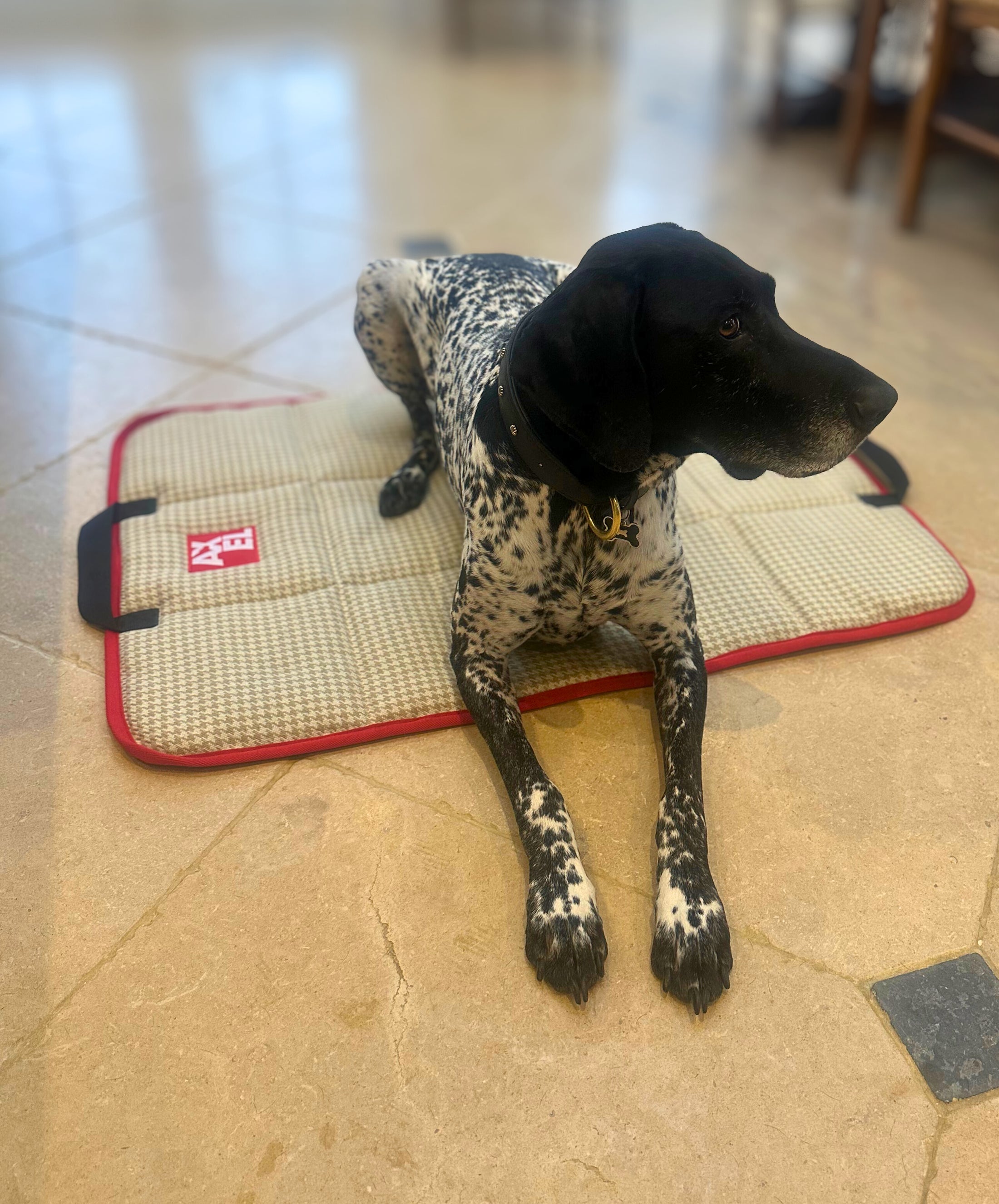 The Chelsea Travel Mat - Axel Dog Beds