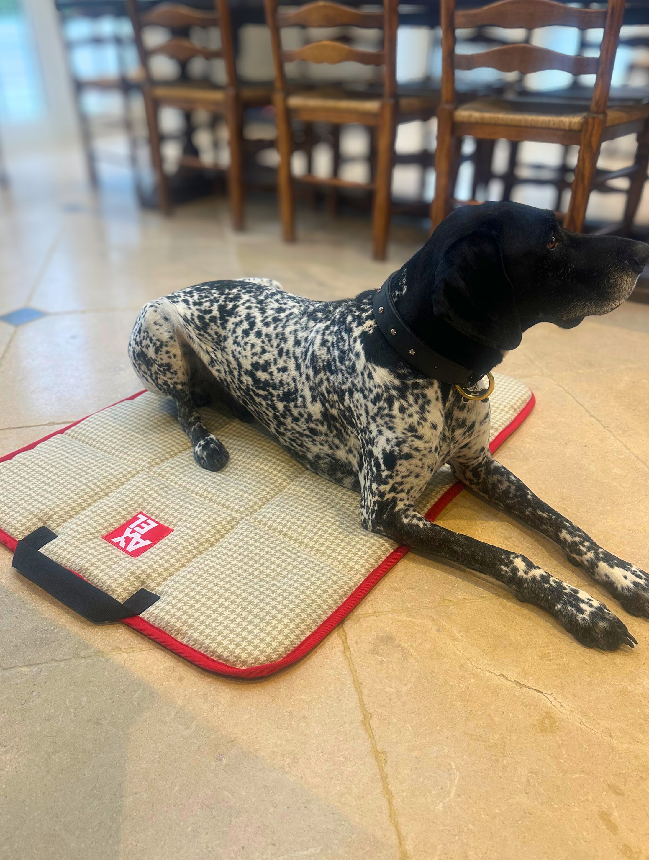 The Chelsea Travel Mat - Axel Dog Beds