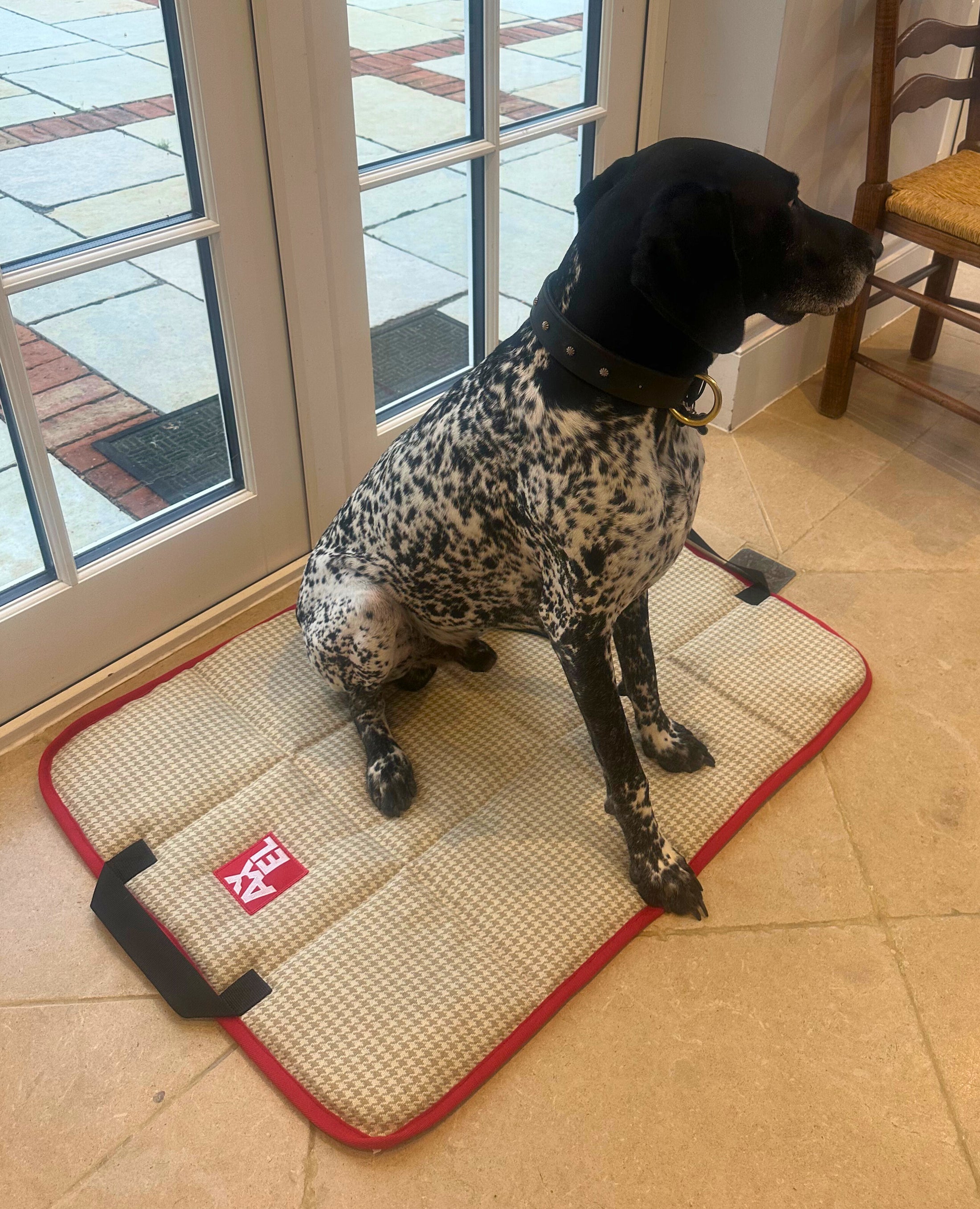 The Chelsea Travel Mat - Axel Dog Beds