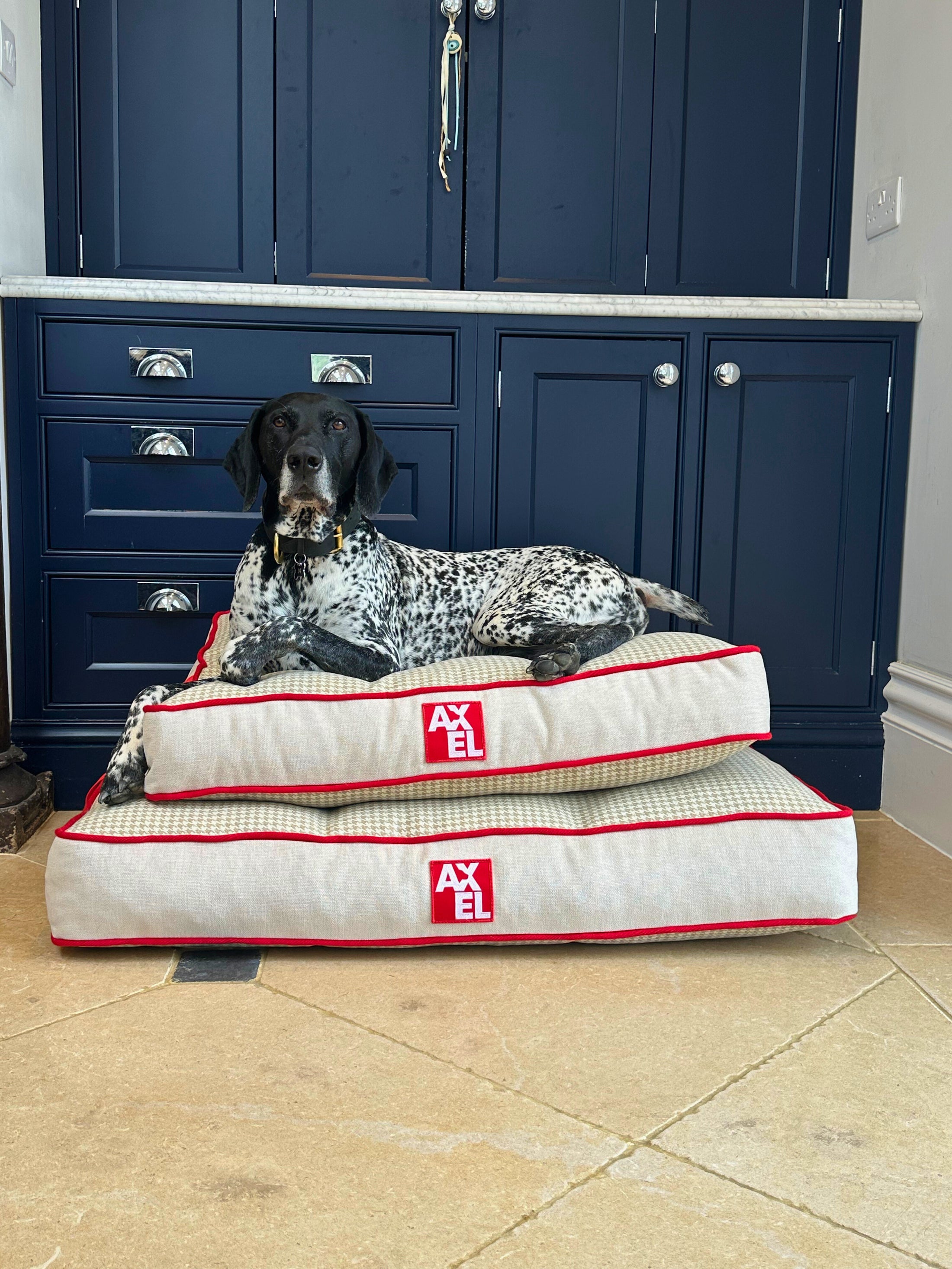 The Chelsea Beds - Axel Dog Beds