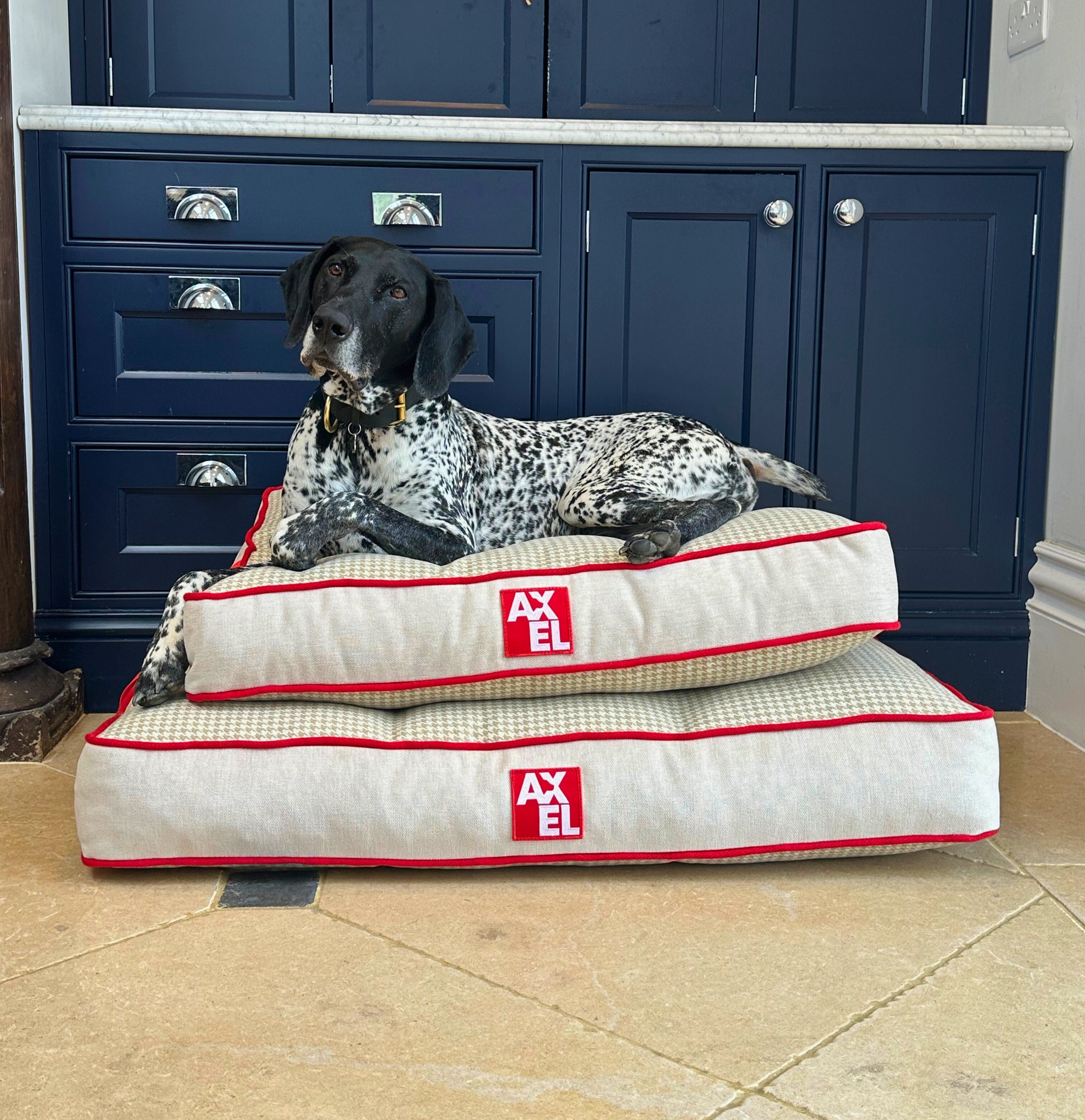 The Chelsea Beds - Axel Dog Beds