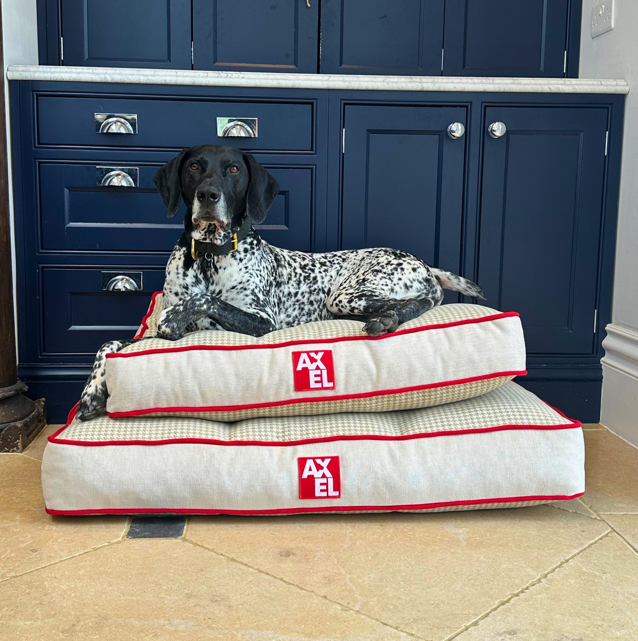 The Chelsea Beds - Axel Dog Beds