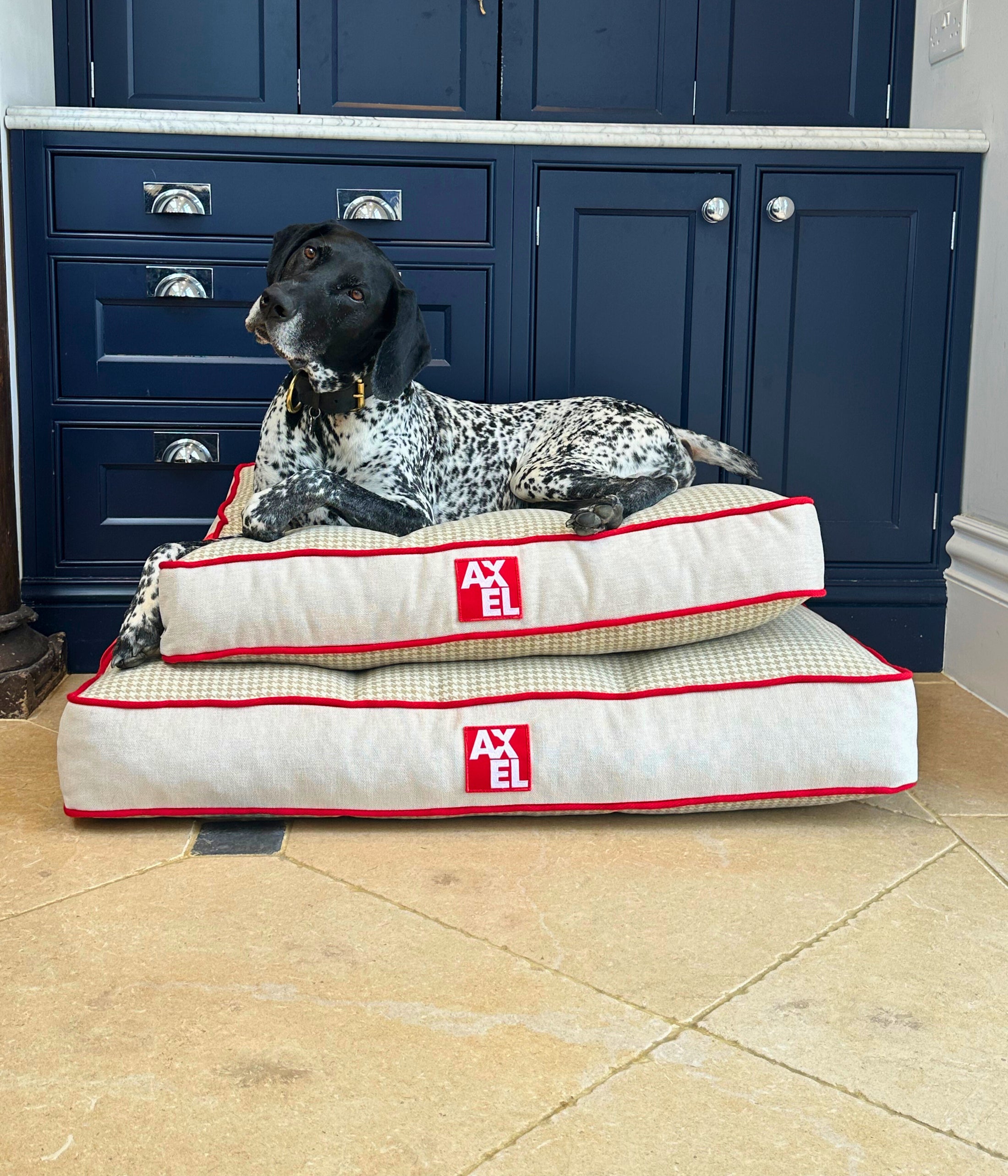 The Chelsea Beds - Axel Dog Beds