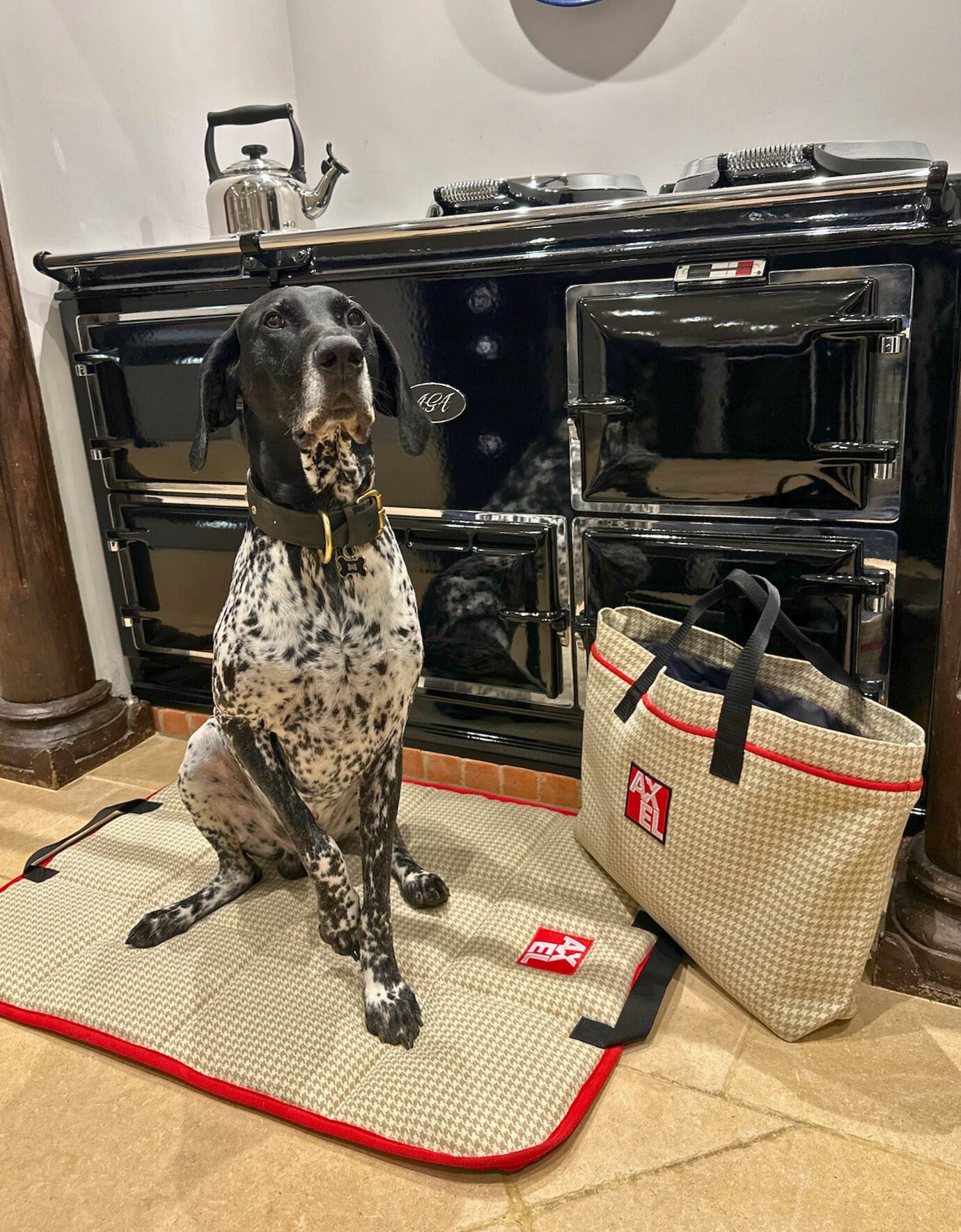 Chelsea Dog Travel Mat