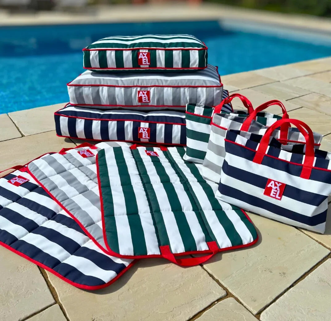 The Coastal Stripe Travel Bag