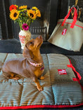 Load image into Gallery viewer, The Marine Stripe Covers - Axel Dog Beds

