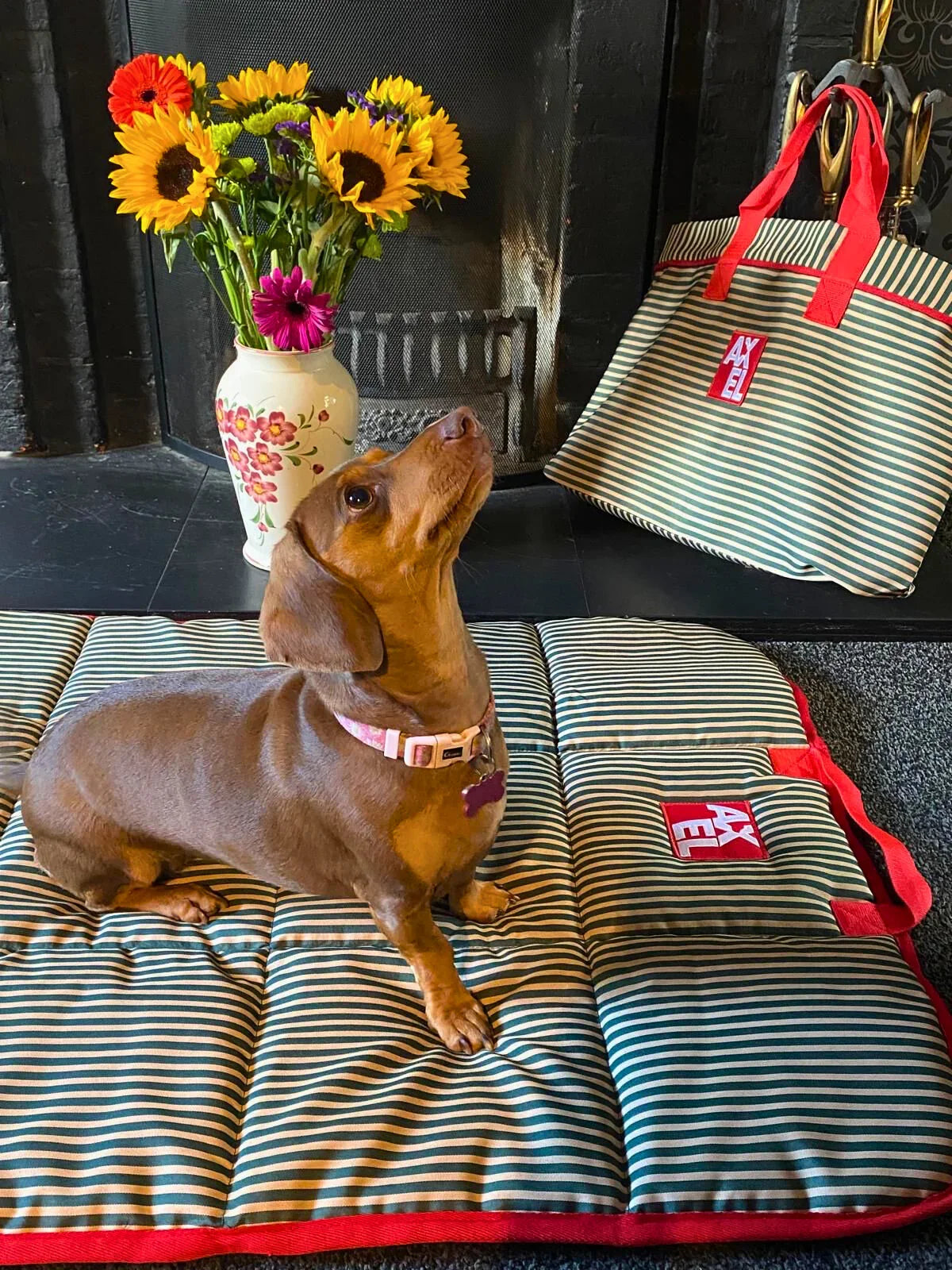 The Marine Stripe Covers - Axel Dog Beds