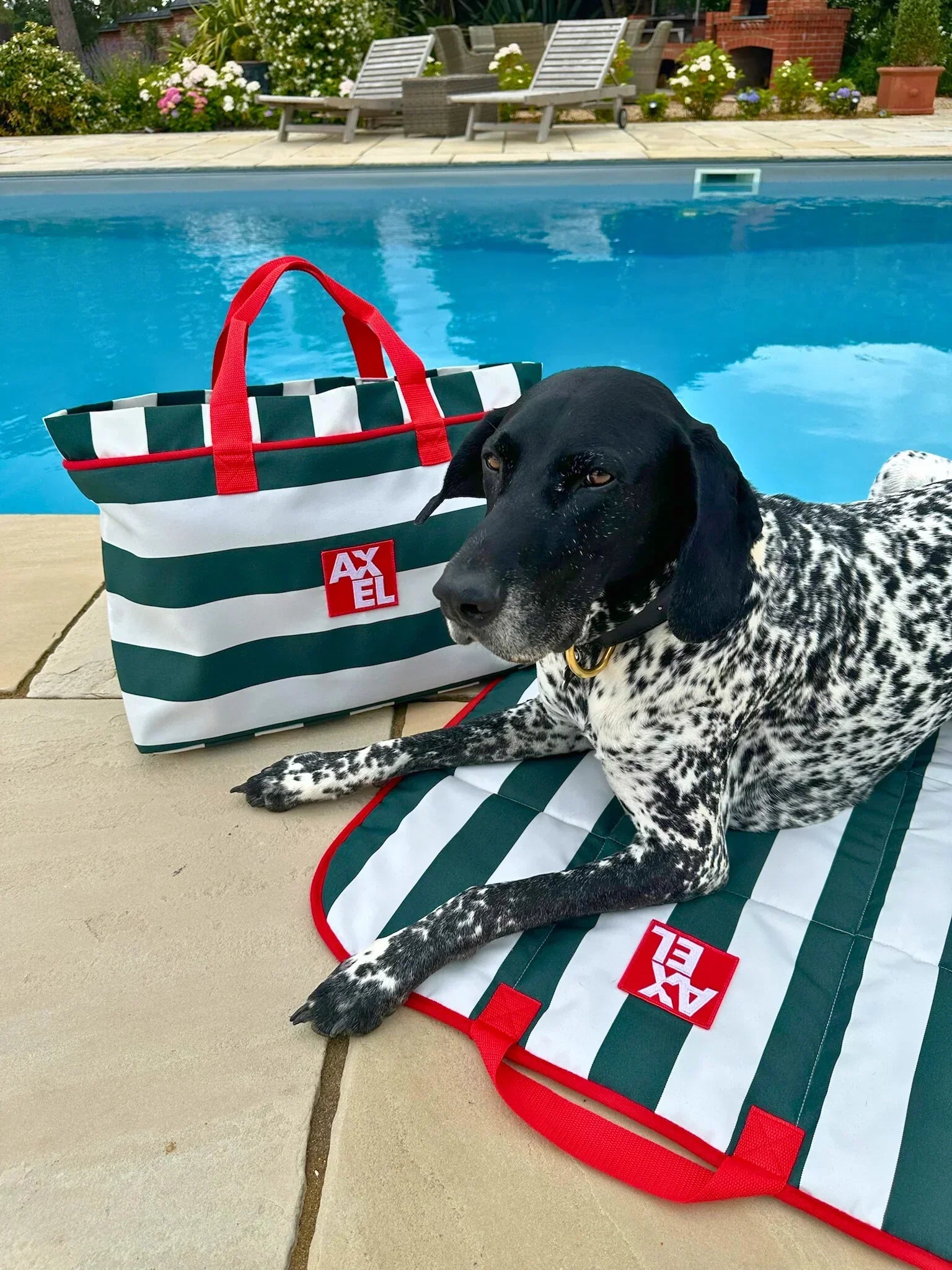 The Coastal Stripe Crate Mat - Axel Dog Beds