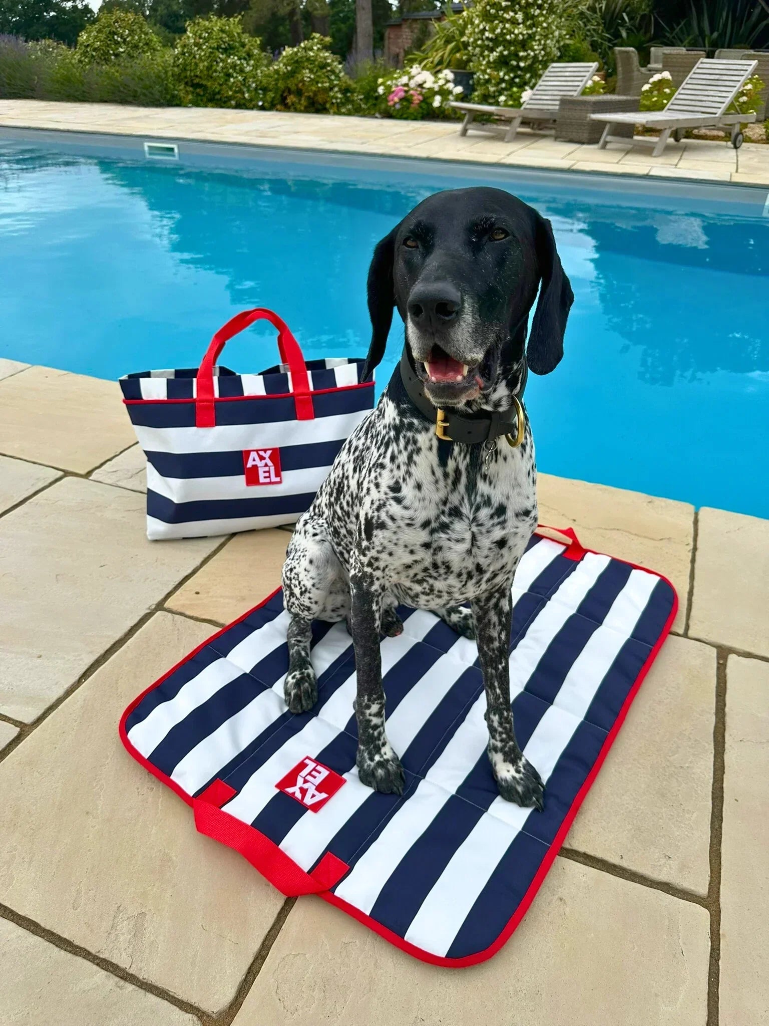The Coastal Stripe Crate Mat - Axel Dog Beds
