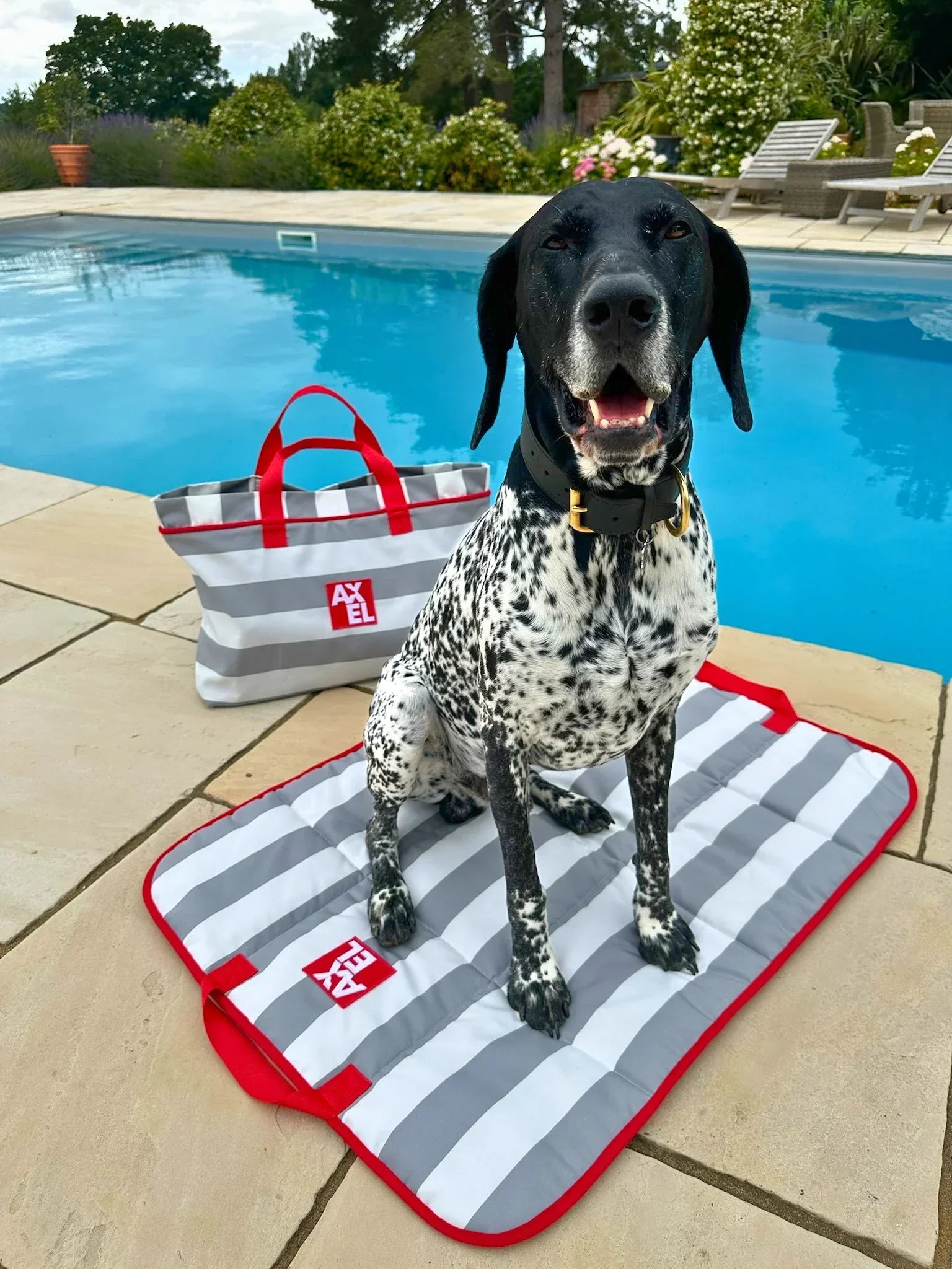The Coastal Stripe Crate Mat - Axel Dog Beds