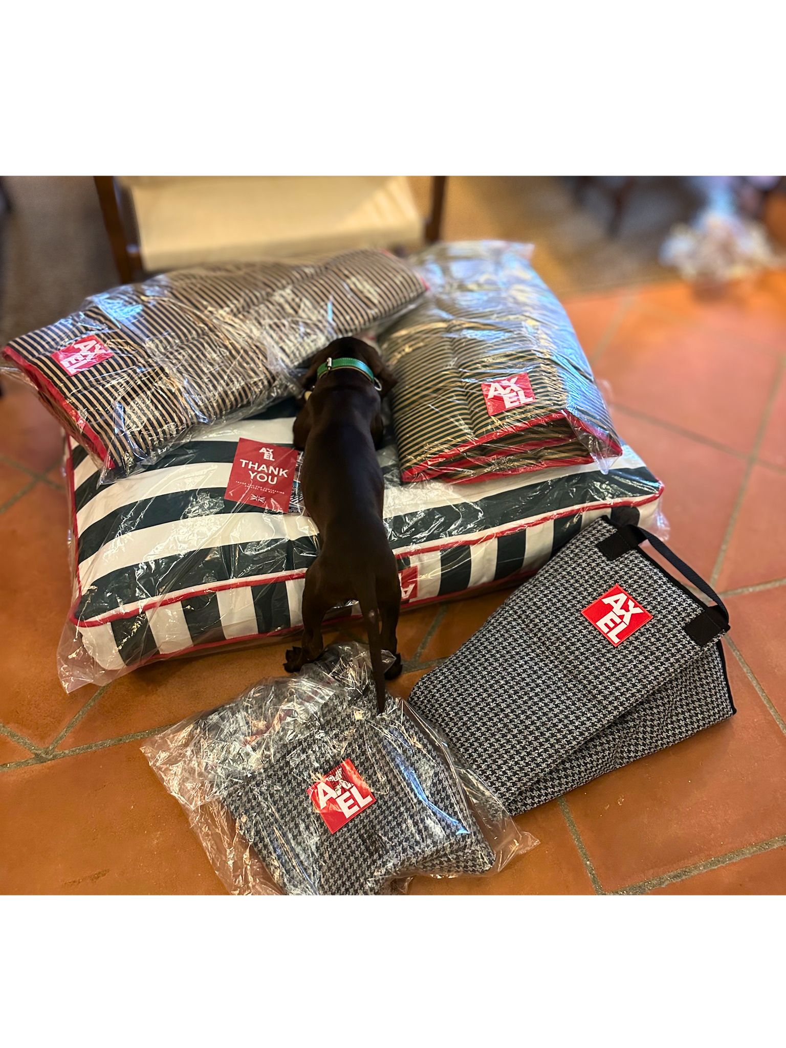 The gift they'll actually use